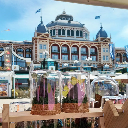 Scheveningen 10 en 11 augustus '24