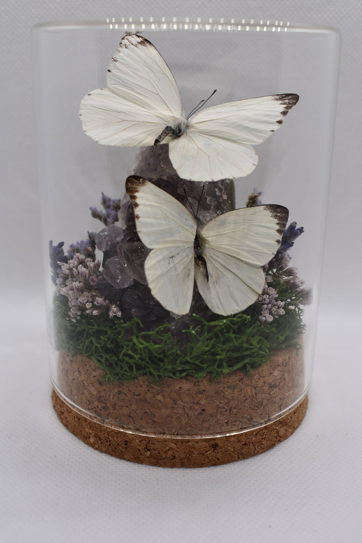 Vlinderstolp met twee Appias Albina op Amethist