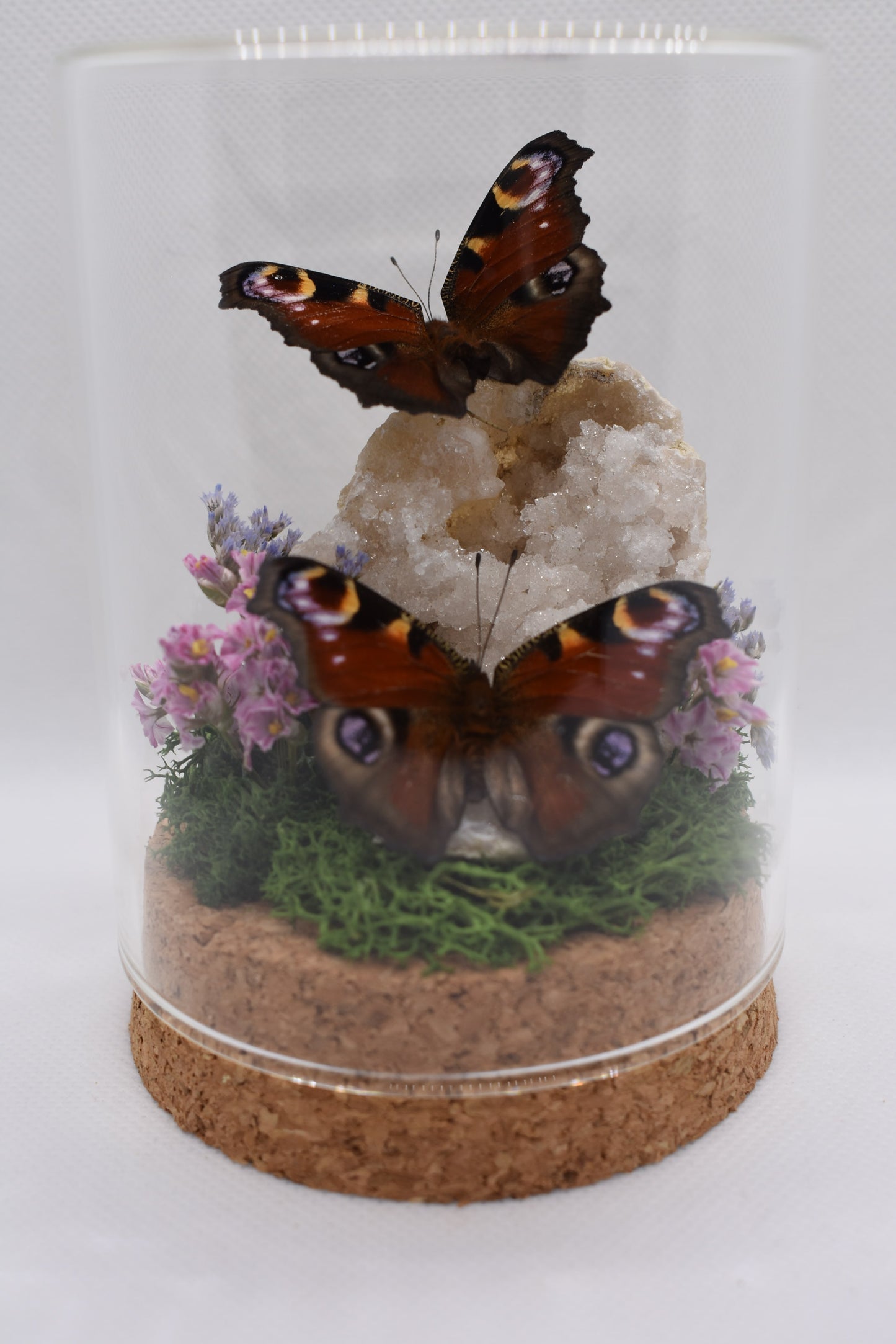 Vlinderstolp met twee Dagpauwogen op een Bergkristalgeode