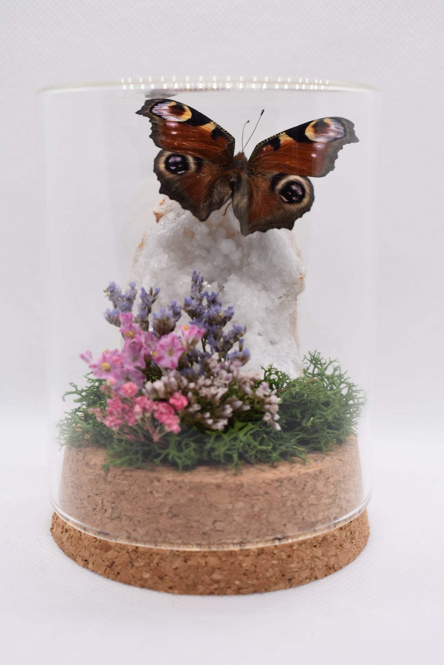 Vlinderstolp met een Dagpauwoog op Bergkristal