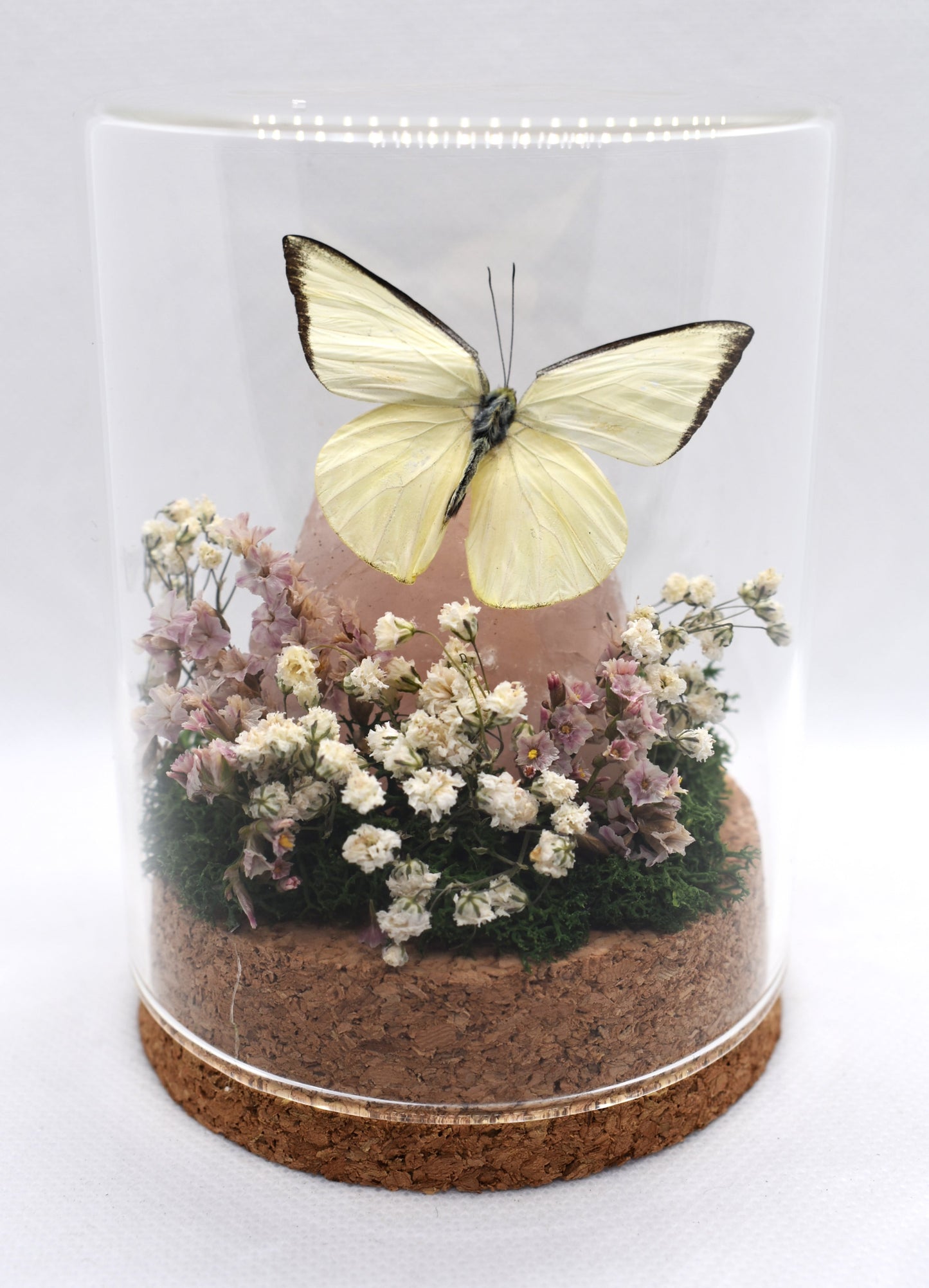 Vlinderstolp met een Appias Albina op Rozekwarts