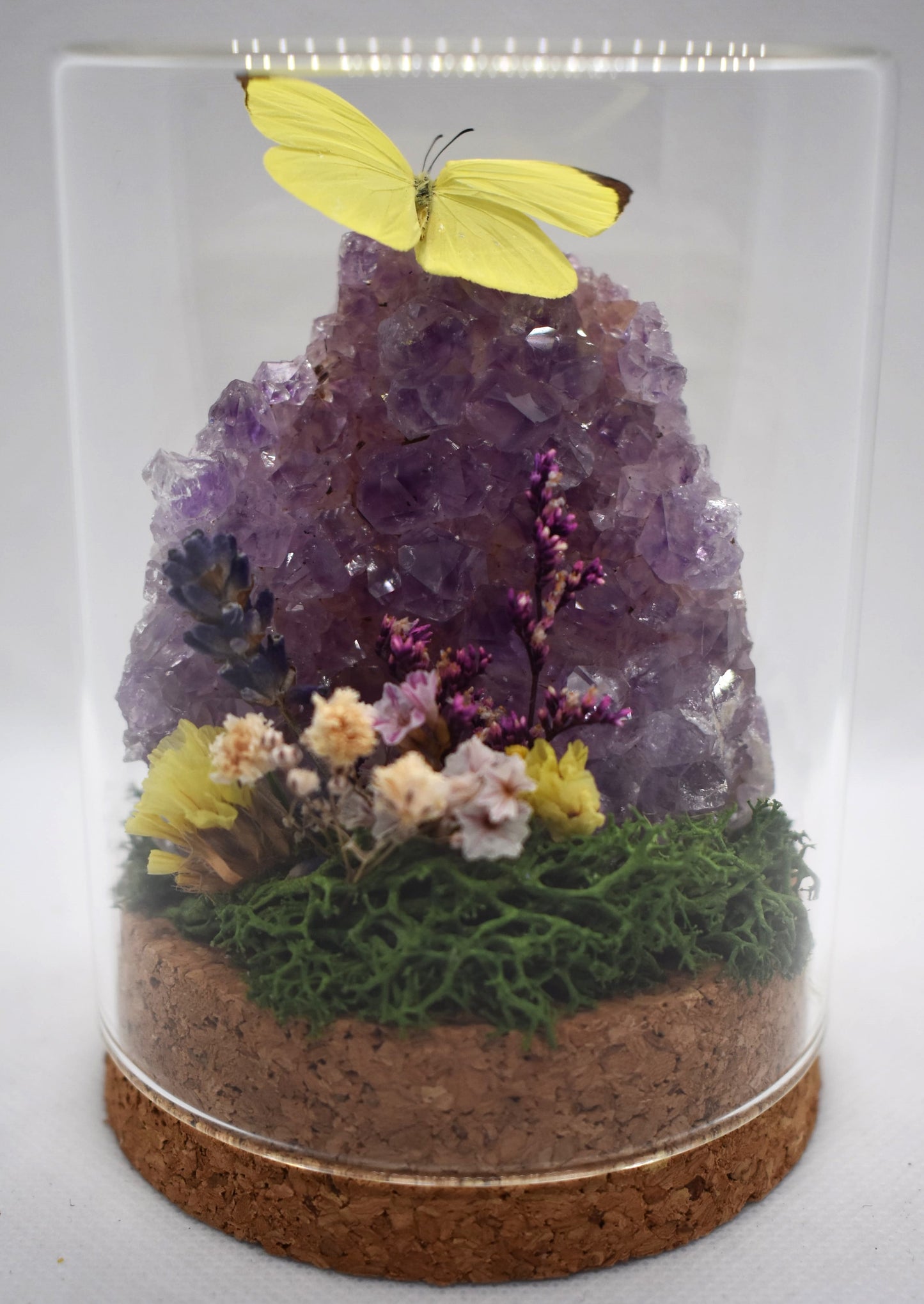 Vlinderstolp met een Eurema Hecabe op Amethist