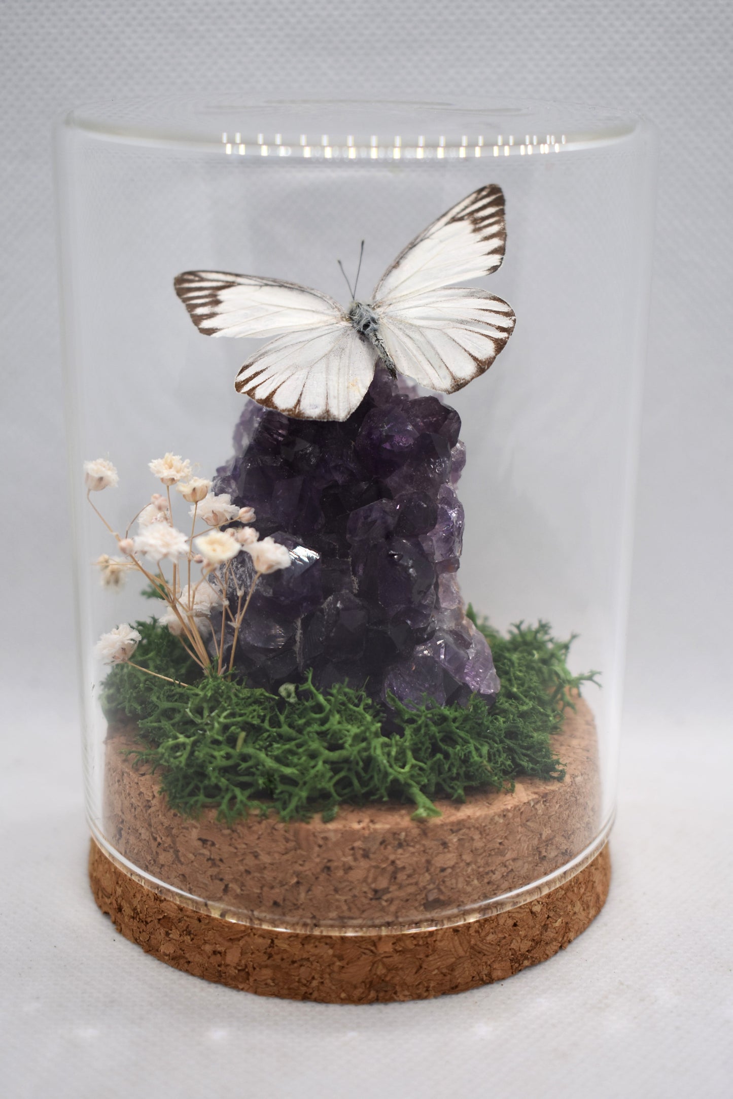 Vlinderstolp met een Appias Olferna op Amethist