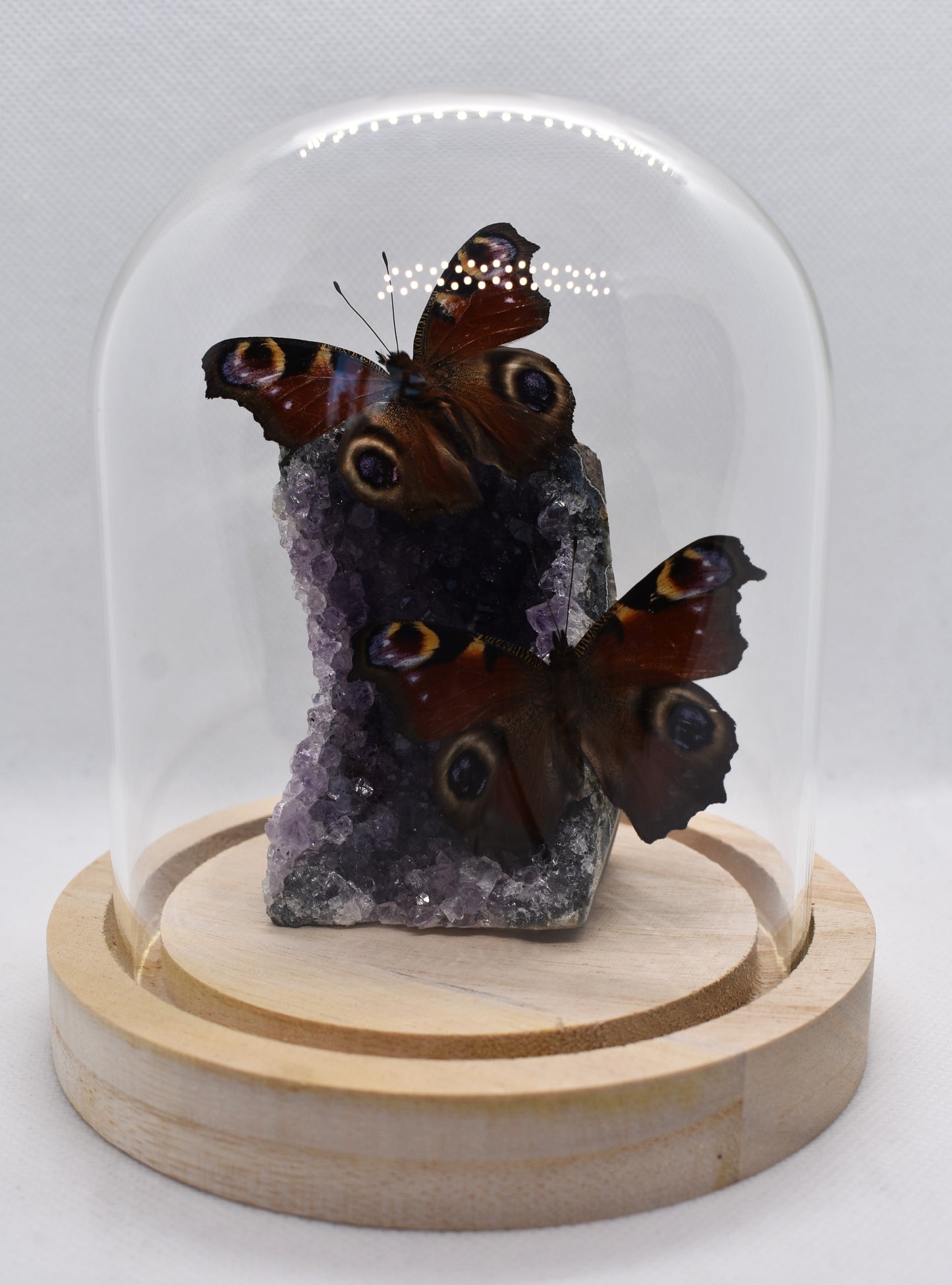 Vlinderstolp met twee Dagpauwogen op Amethist