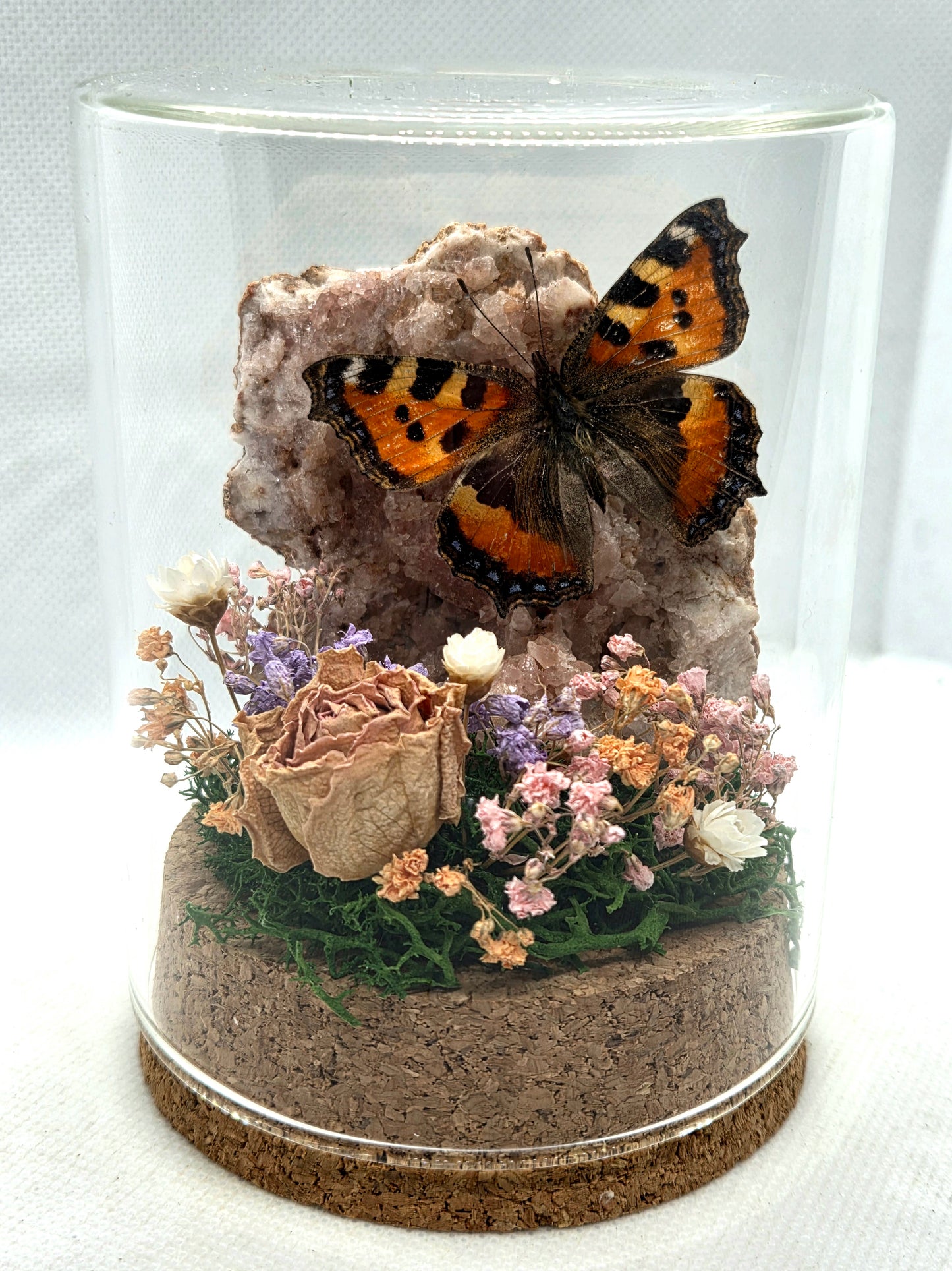 Vlinderstolp met een Aglais Urticae (Kleine Vos) op Roze Amethist