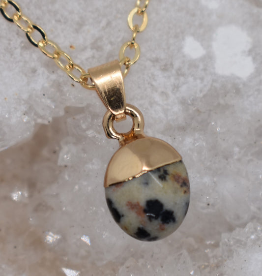 Ketting met Dalmatiër Jaspis hanger