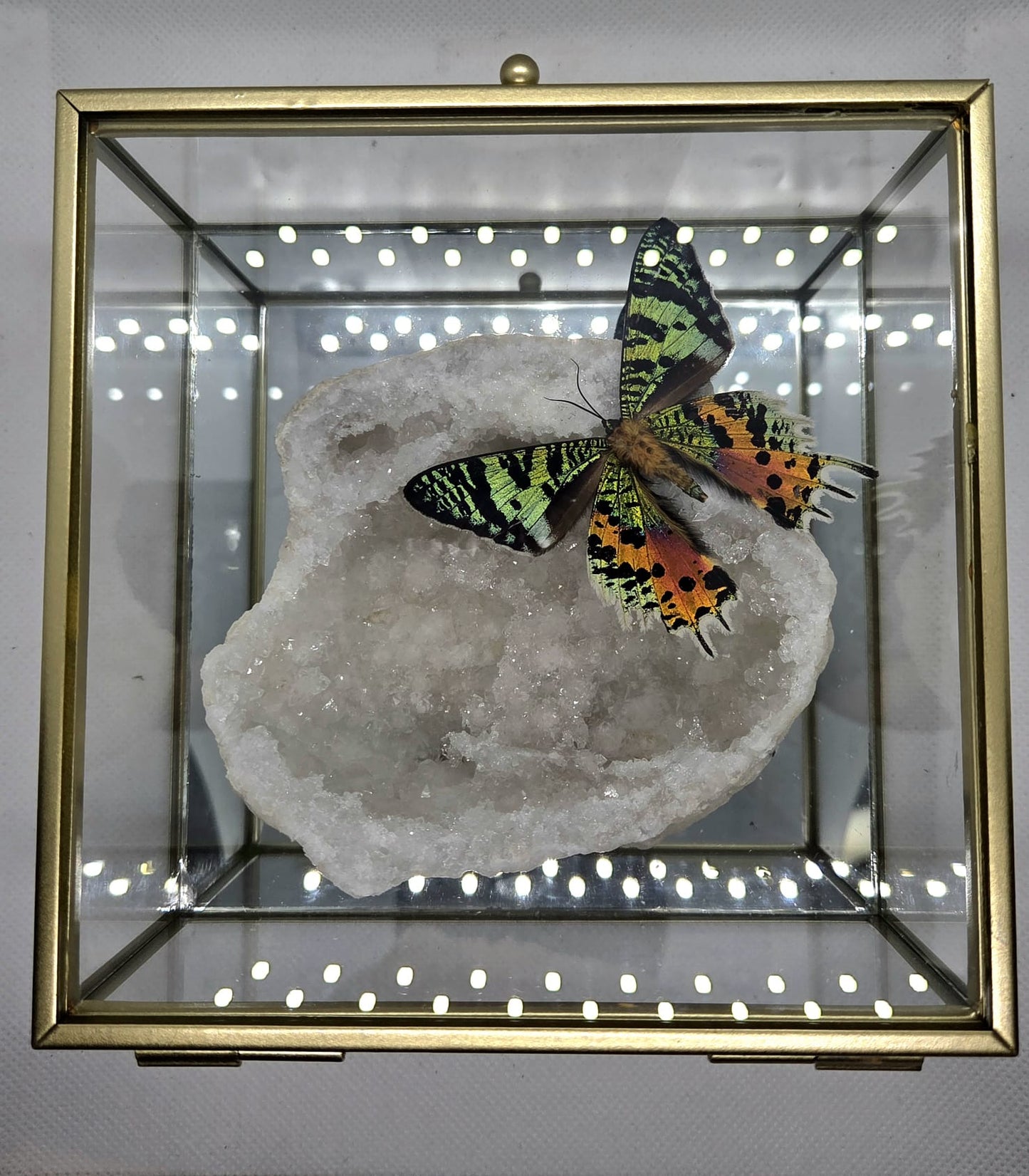 Vlinderkistje met een Urania Ripheus op een Bergkristalgeode