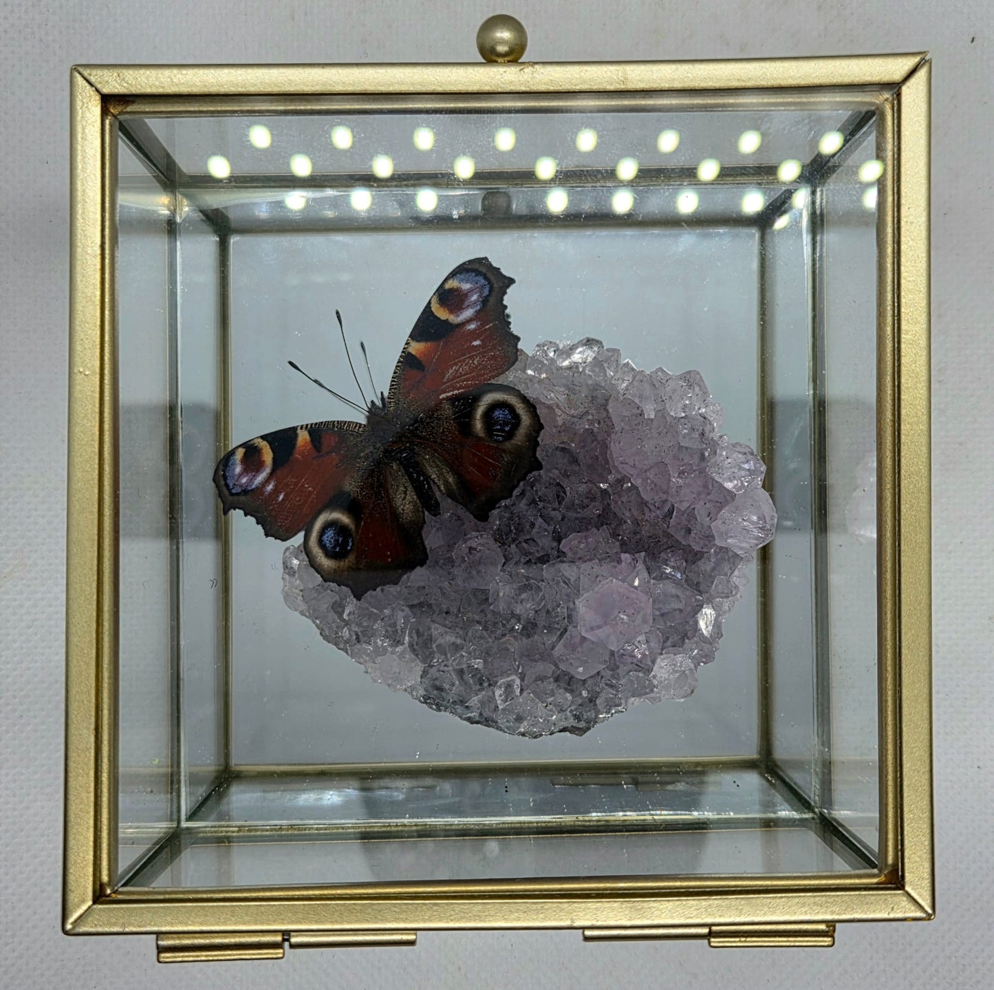 Vlinderkistje met een Dagpauwoog op Amethist