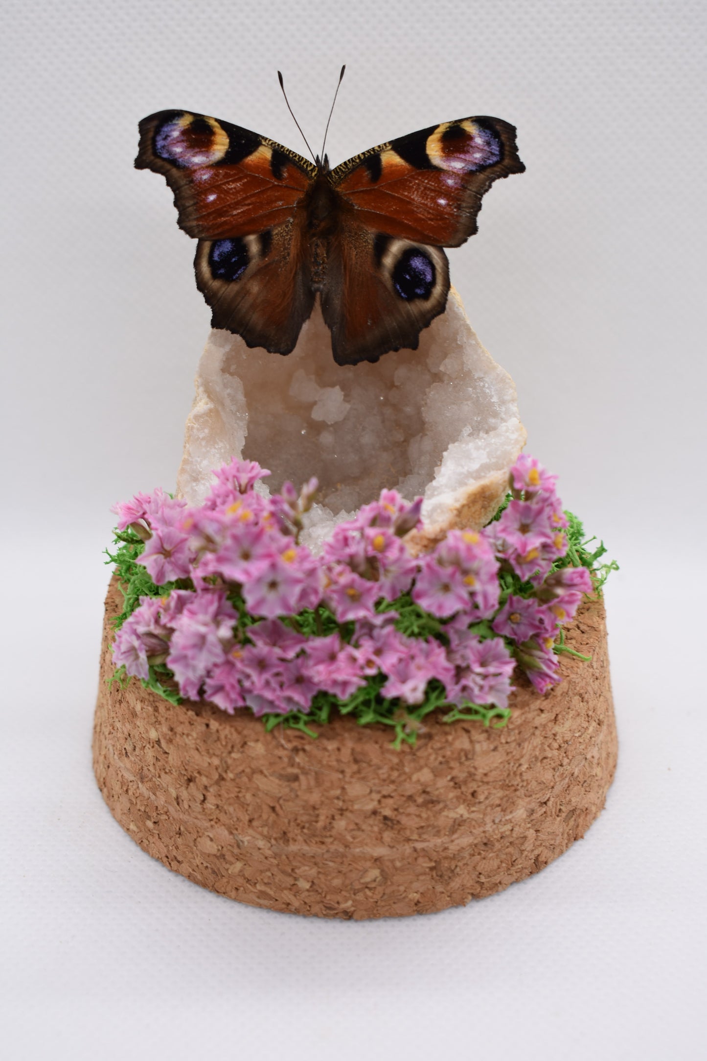 Vlinderstolp met een Dagpauwoog op een Bergkristalgeode