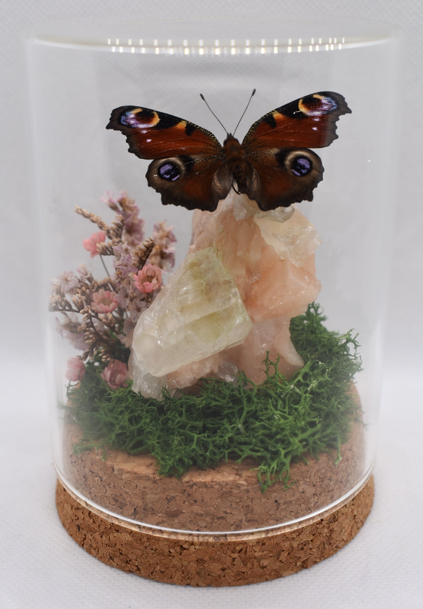 Vlinderstolp met een Dagpauwoog op Stilbiet met Apofylliet