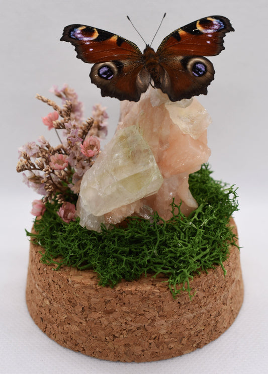 Vlinderstolp met een Dagpauwoog op Stilbiet met Apofylliet