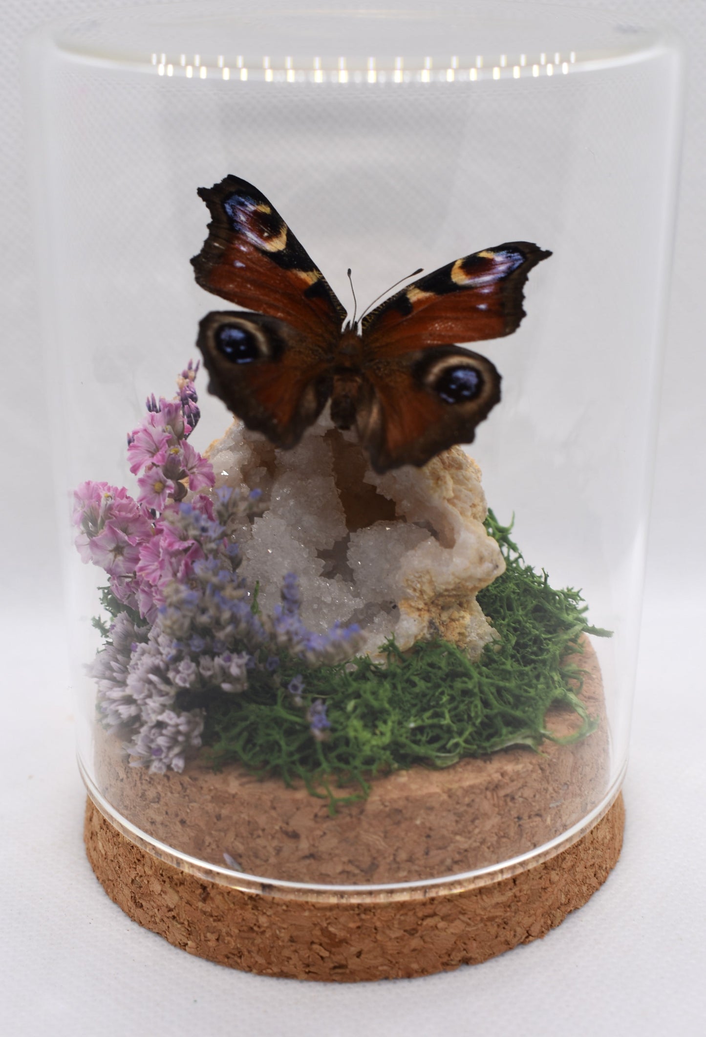 Vlinderstolp met een Dagpauwoog op een Bergkristalgeode