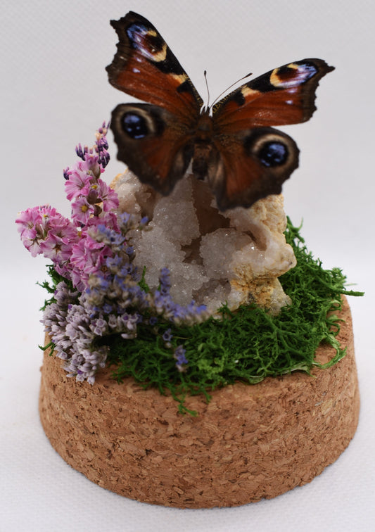 Vlinderstolp met een Dagpauwoog op een Bergkristalgeode