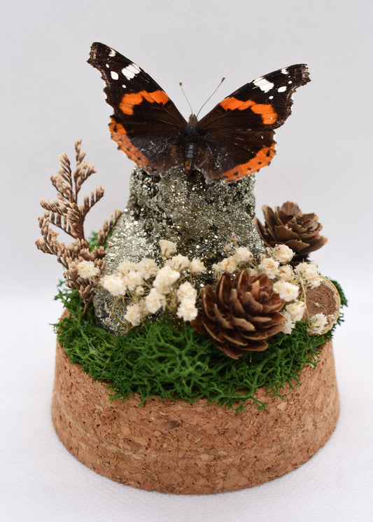 Vlinderstolp met een Vanessa Atalanta op Pyriet