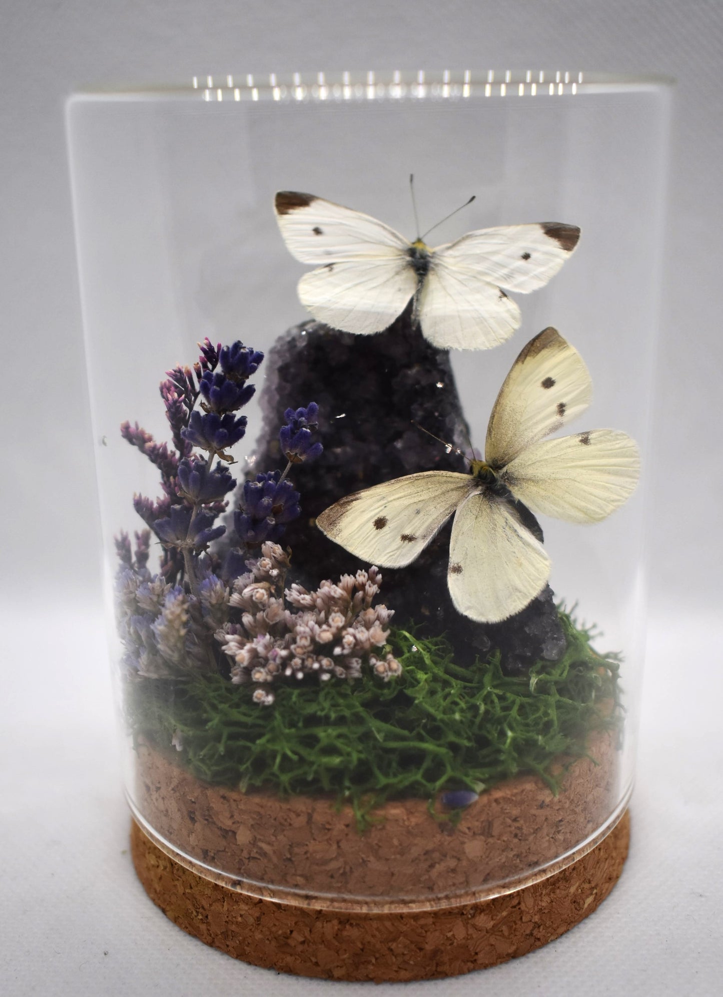 Vlinderstolp met twee Koolwitjes op Amethist