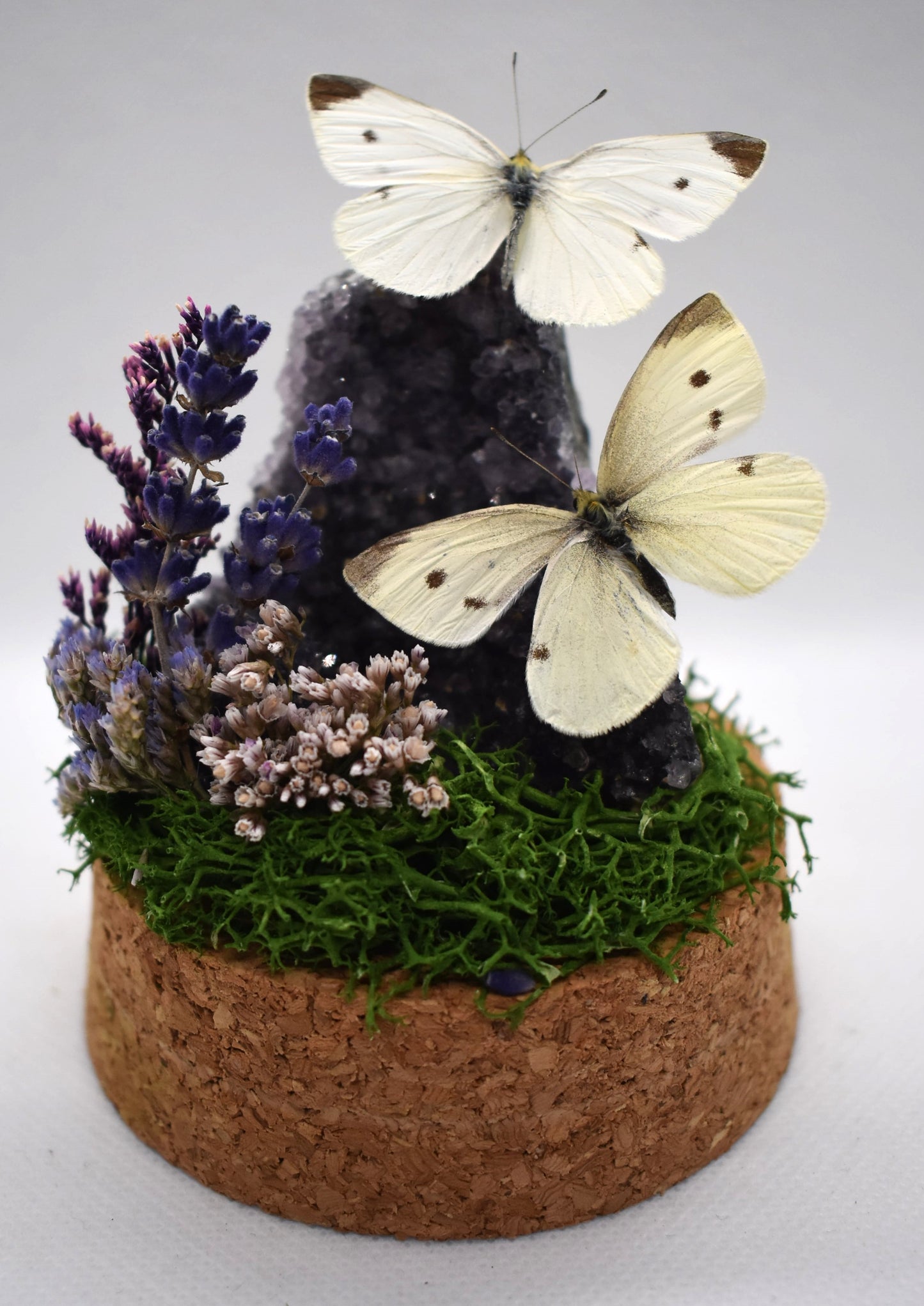 Vlinderstolp met twee Koolwitjes op Amethist