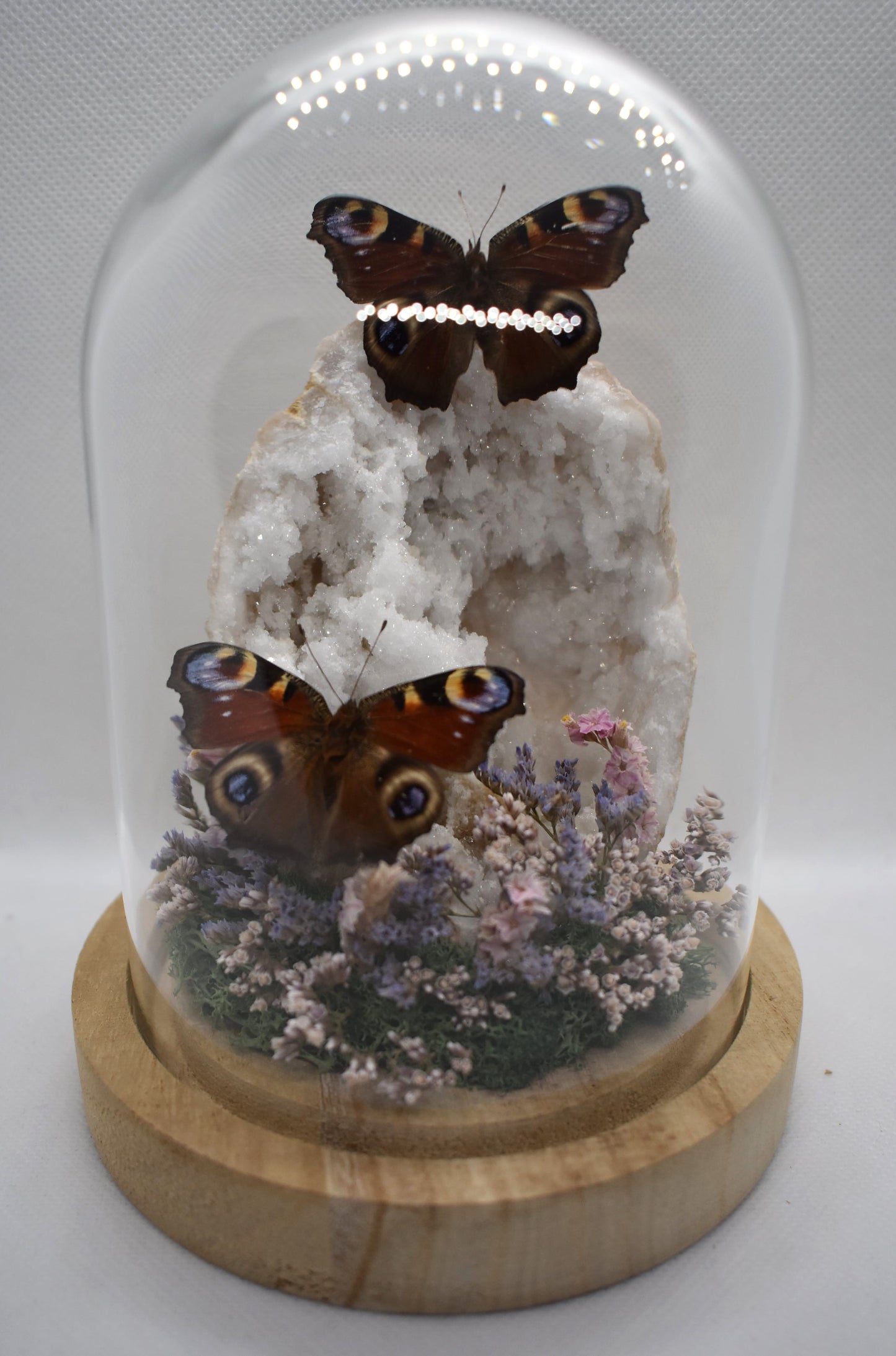 Vlinderstolp met twee Dagpauwogen op een Bergkristalgeode