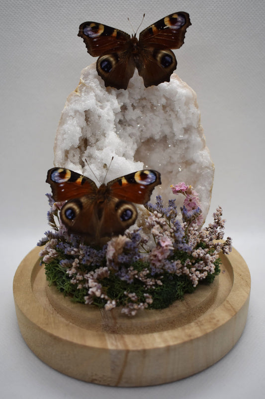 Vlinderstolp met twee Dagpauwogen op een Bergkristalgeode