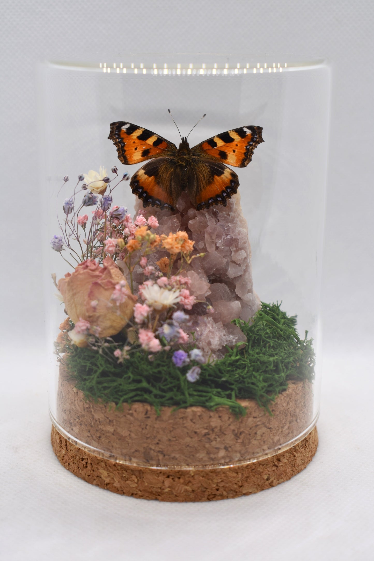 Vlinderstolp met een Aglais Urticae (Kleine Vos) op Roze Amethist