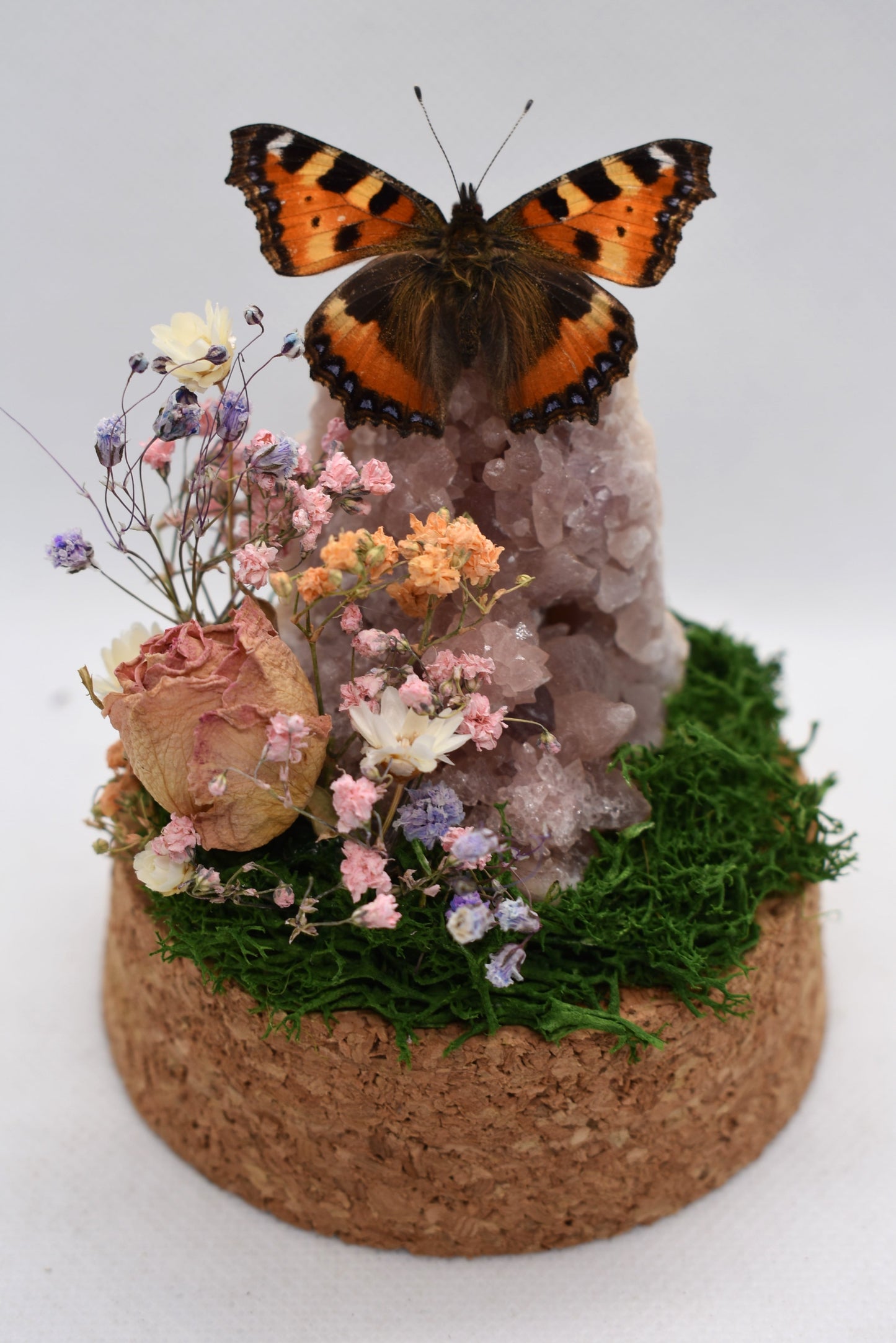 Vlinderstolp met een Aglais Urticae (Kleine Vos) op Roze Amethist