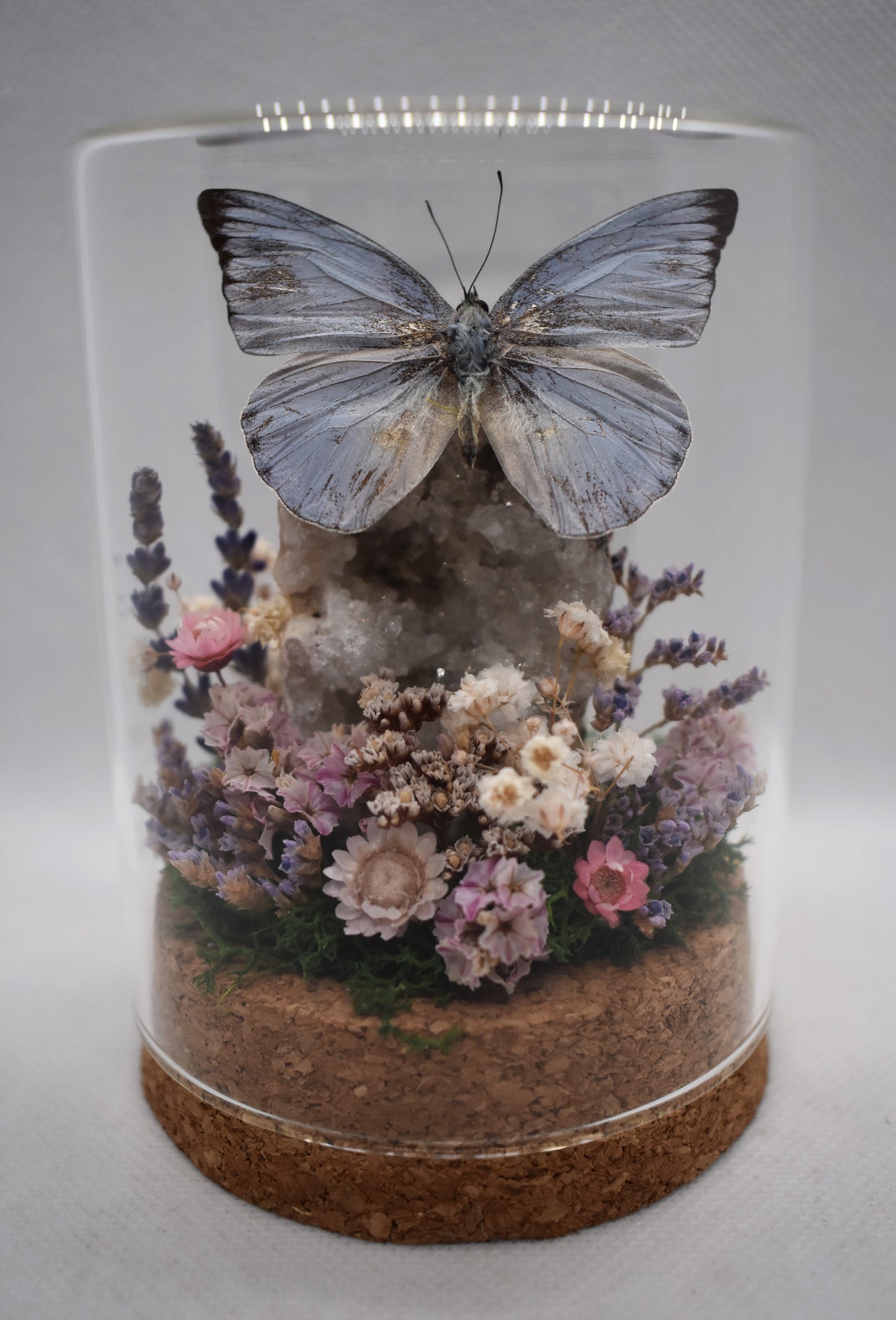 Vlinderstolp met een Appias Celestina op Bergkristal