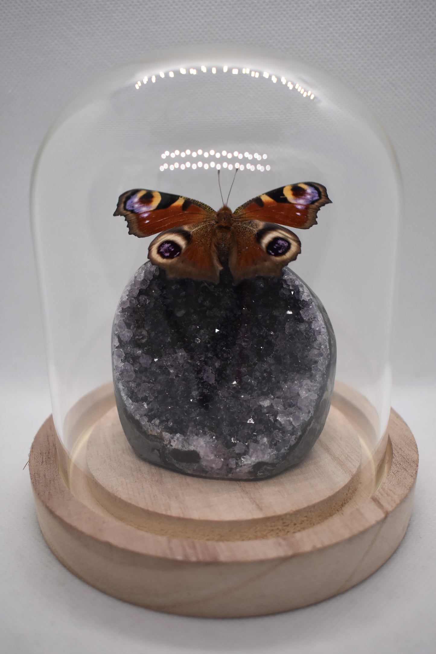 Vlinderstolp met een Dagpauwoog op Amethist