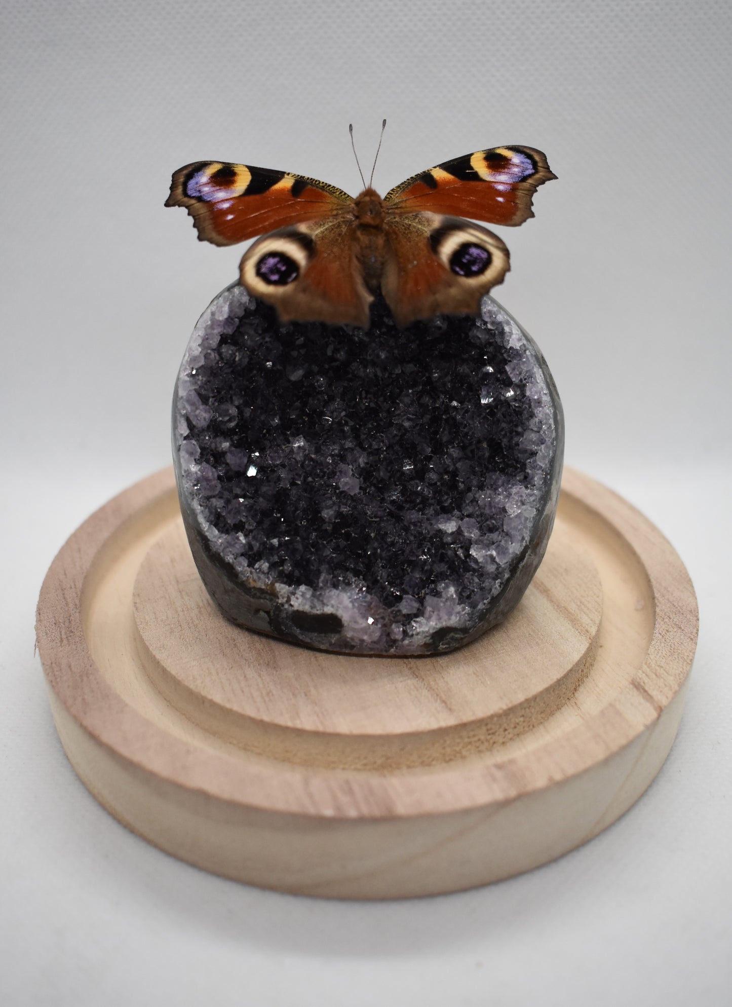 Vlinderstolp met een Dagpauwoog op Amethist