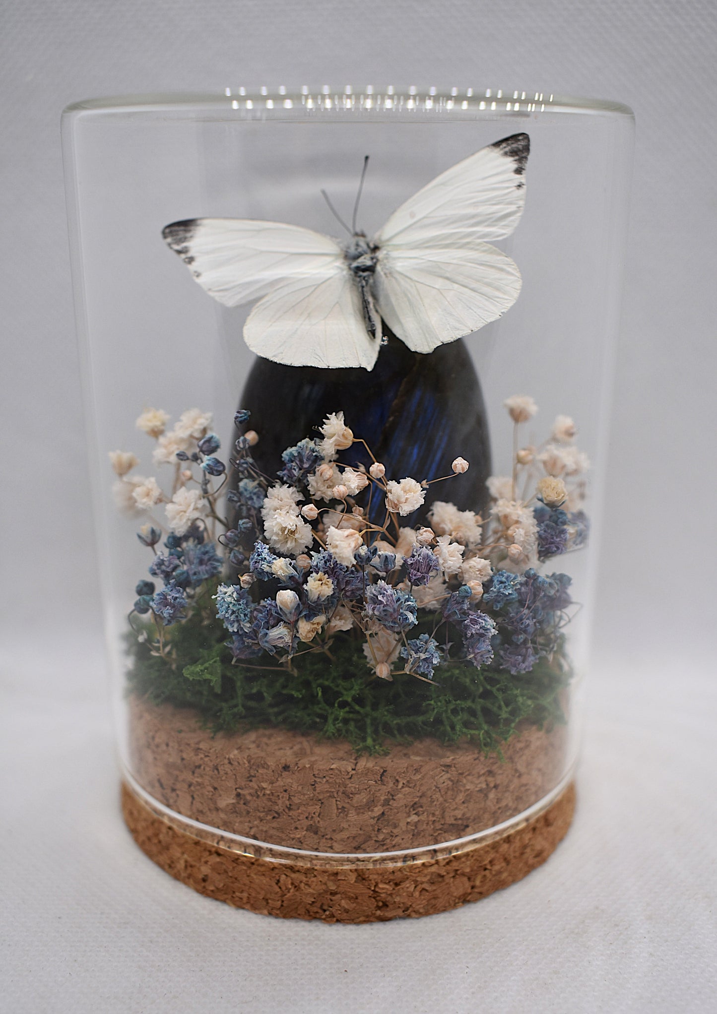 Vlinderstolp met een Appias op Labradoriet