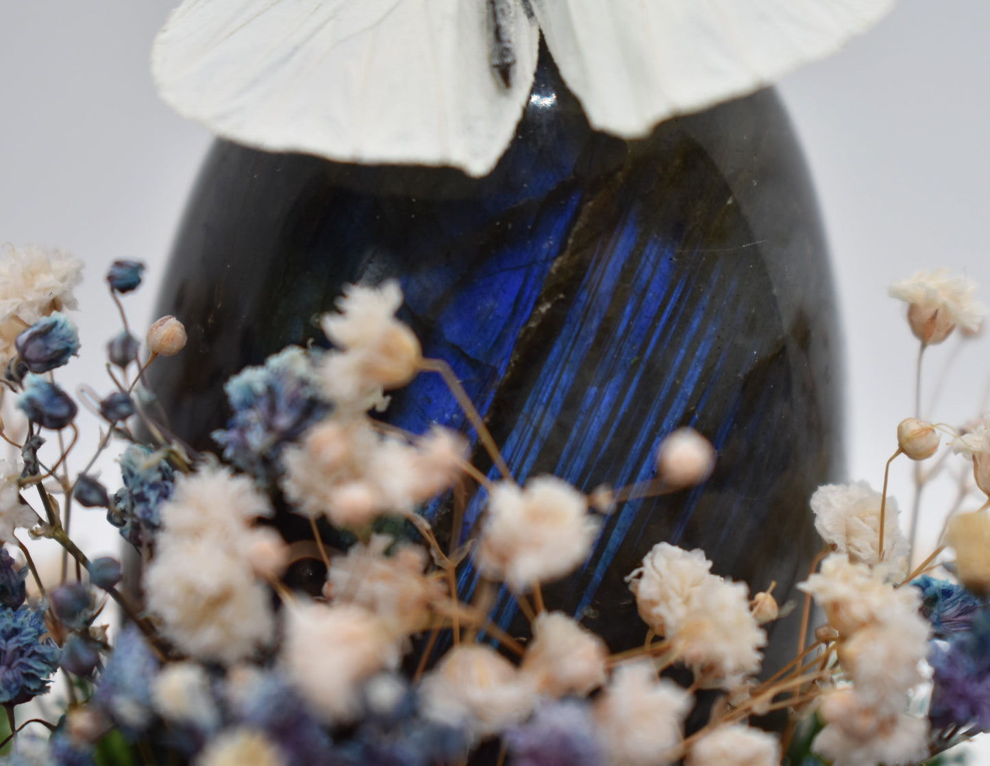 Vlinderstolp met een Appias op Labradoriet