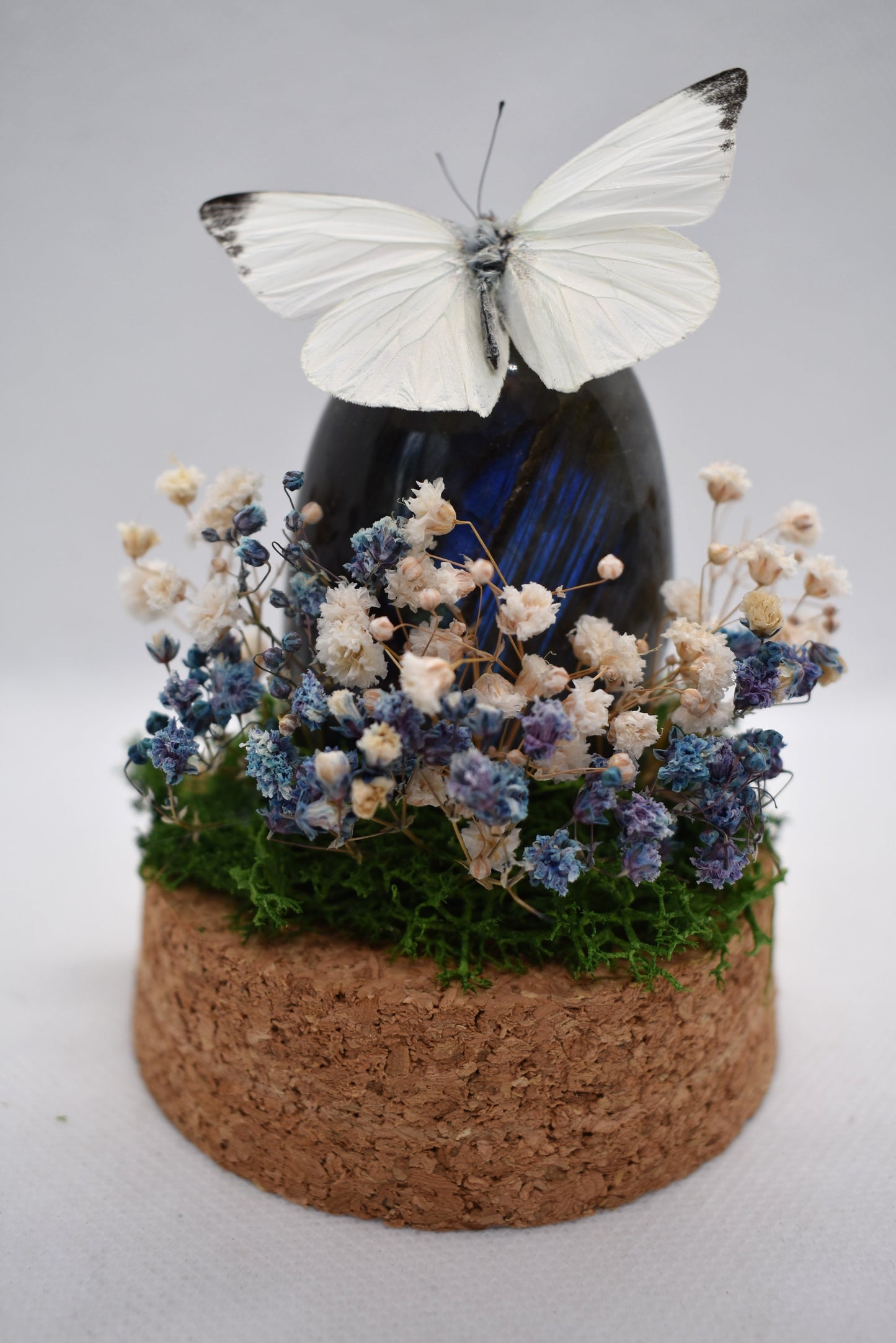 Vlinderstolp met een Appias op Labradoriet