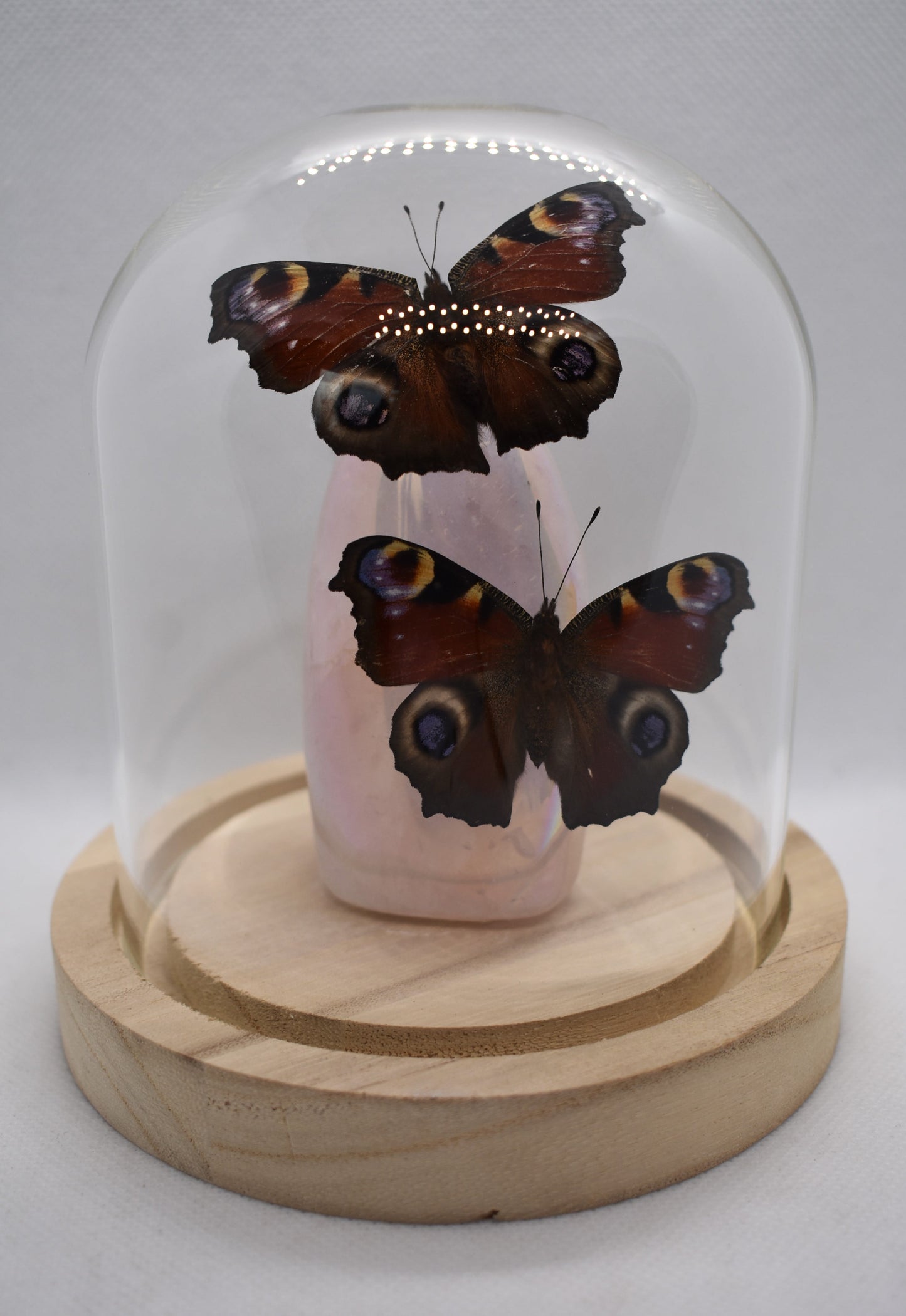 Vlinderstolp met twee Dagpauwogen op Rozenkwarts Aura