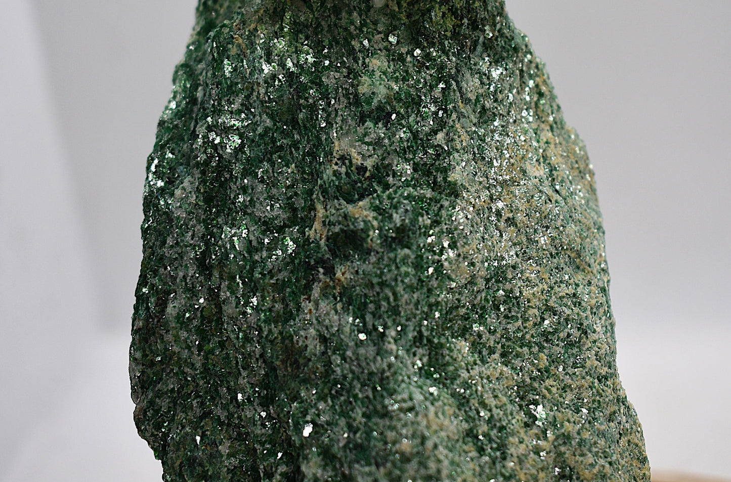 Vlinderstolp met een Catopsilia Florella op Fuchsiet