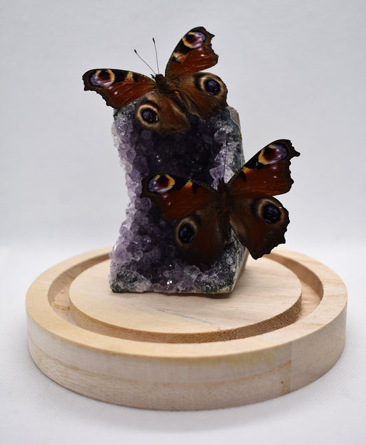 Vlinderstolp met twee Dagpauwogen op Amethist