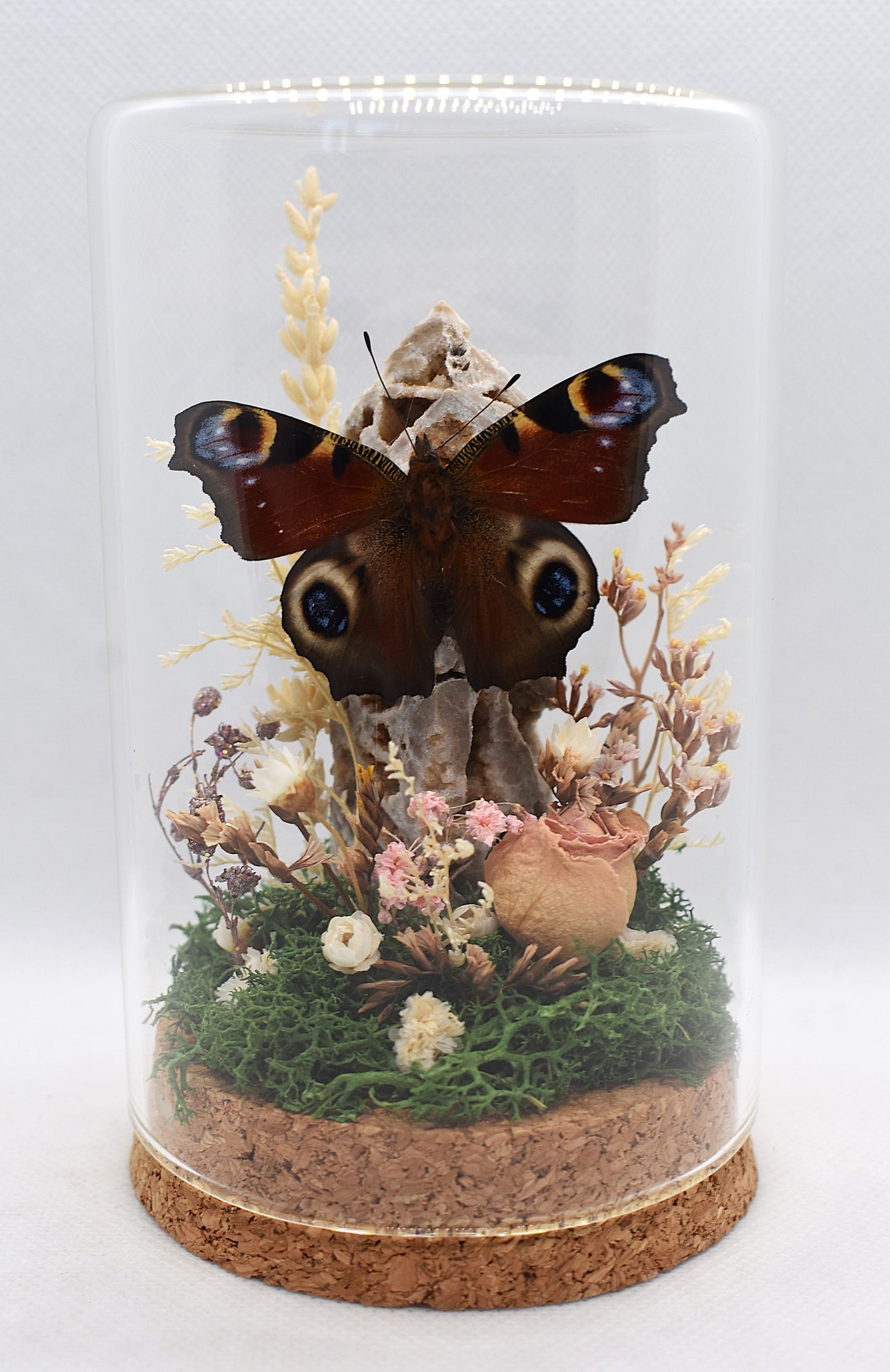 Vlinderstolp met een Dagpauwoog op een Sfaleriet toren