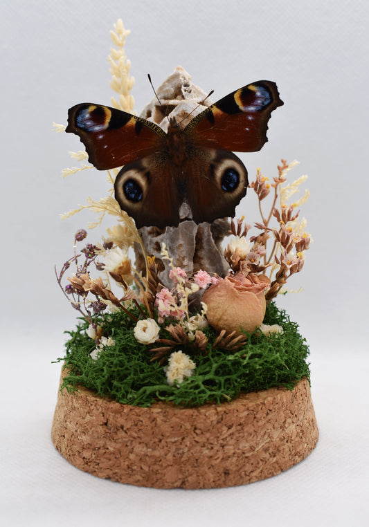 Vlinderstolp met een Dagpauwoog op een Sfaleriet toren