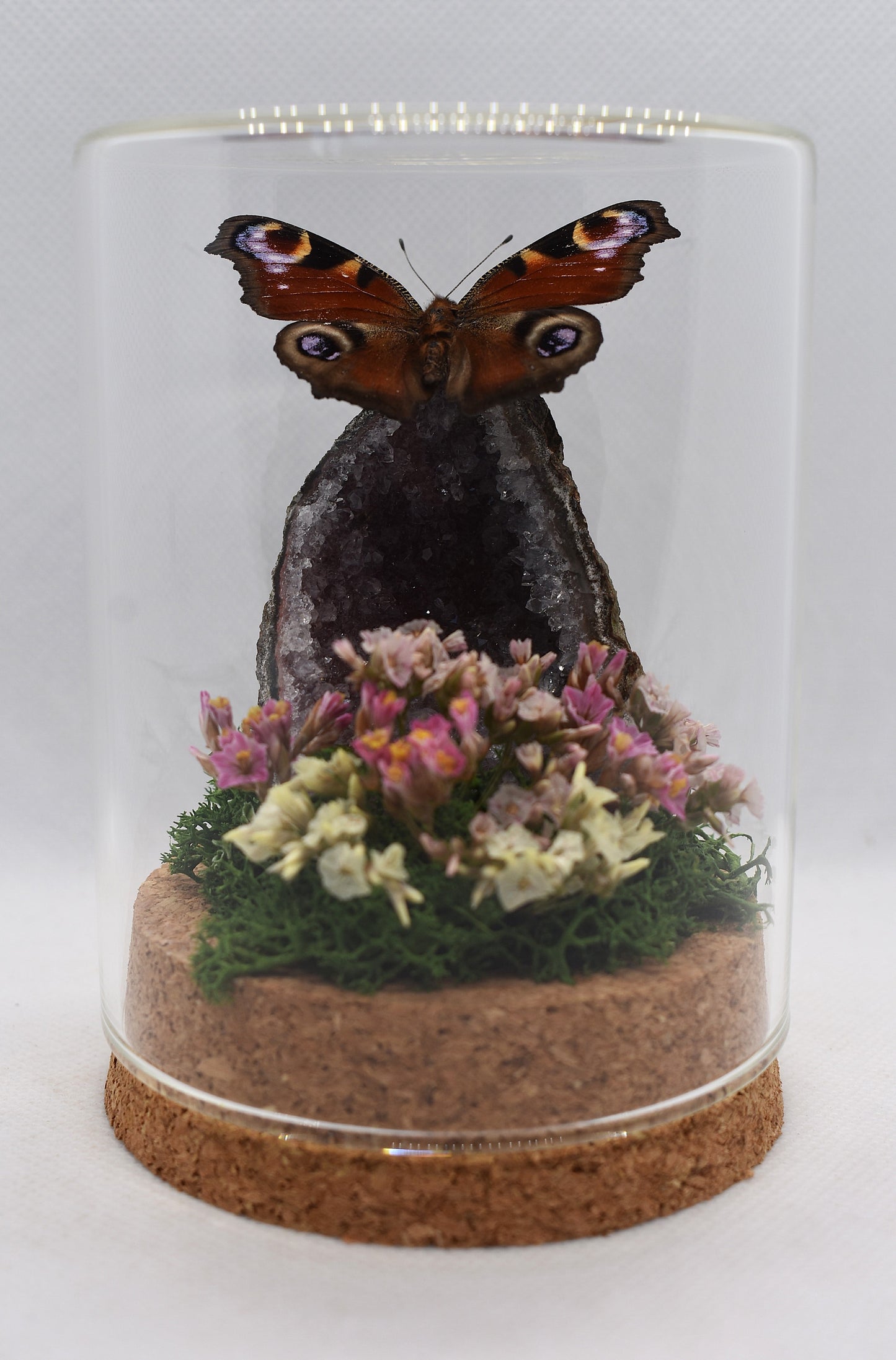 Vlinderstolp met een Dagpauwoog op Amethist