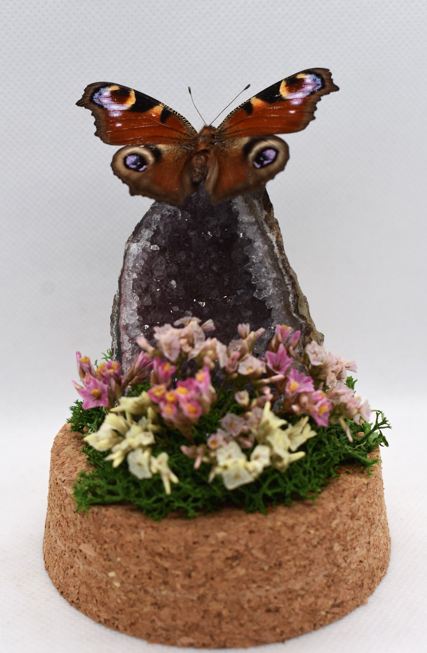 Vlinderstolp met een Dagpauwoog op Amethist