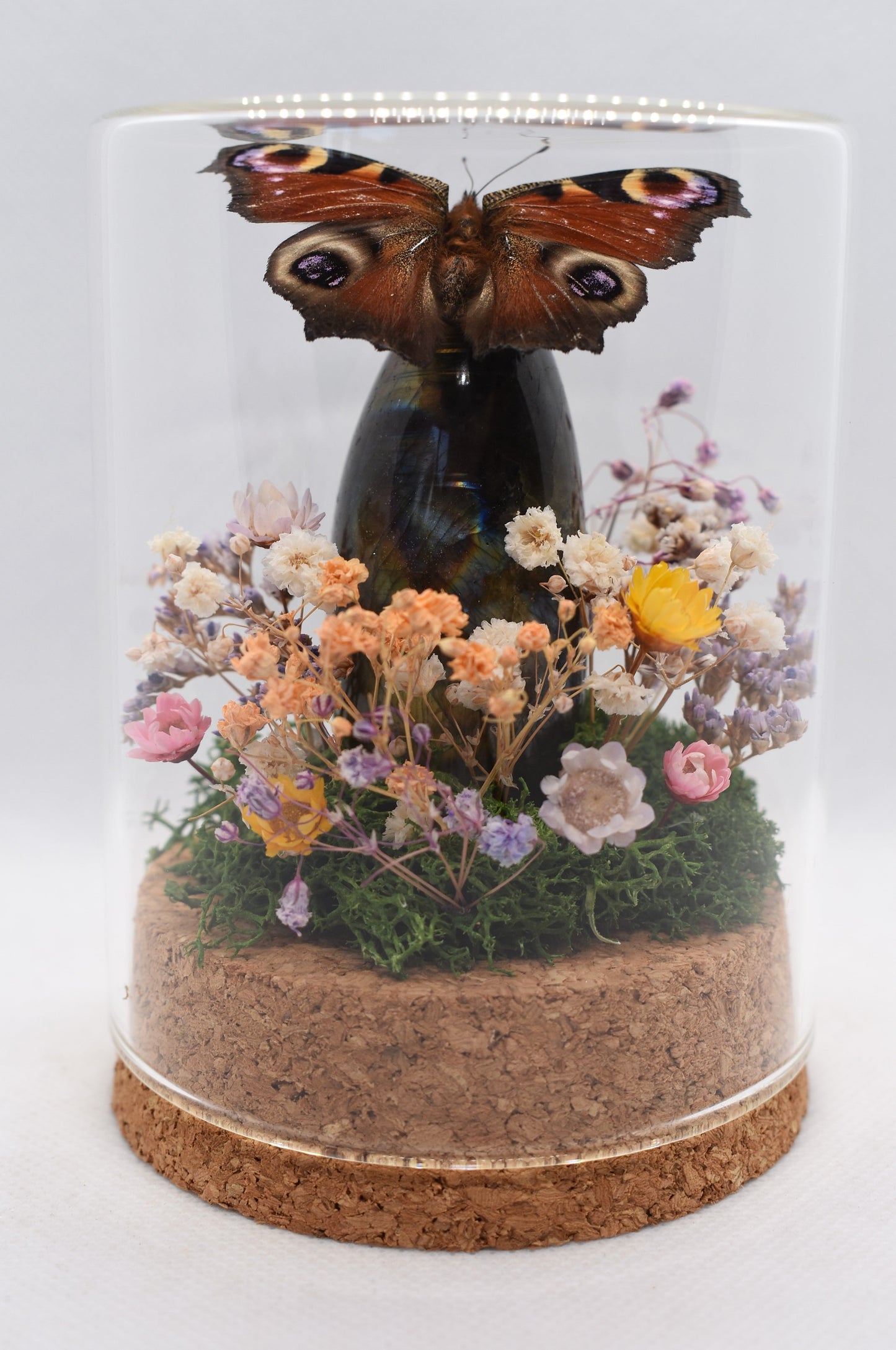 Vlinderstolp met een Dagpauwoog op Labradoriet