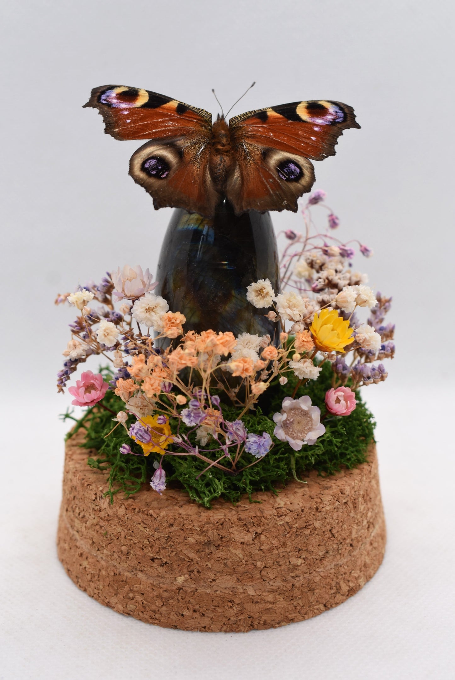 Vlinderstolp met een Dagpauwoog op Labradoriet