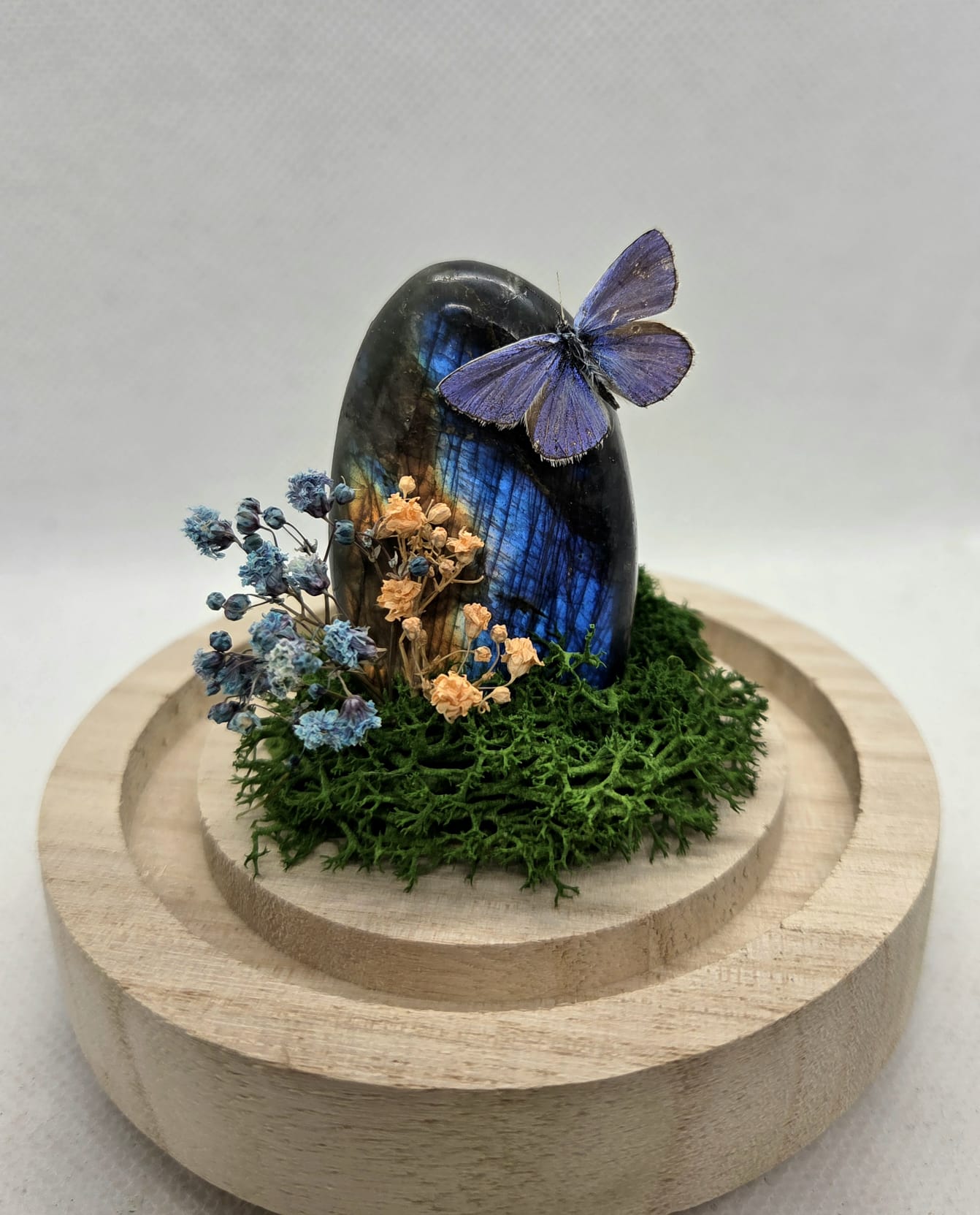 Vlinderstolp met een Icarusblauwtje op Labradoriet