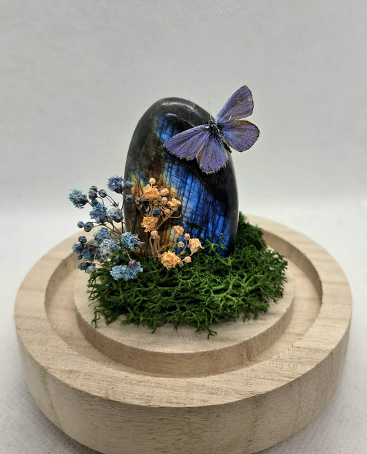 Vlinderstolp met een Icarusblauwtje op Labradoriet