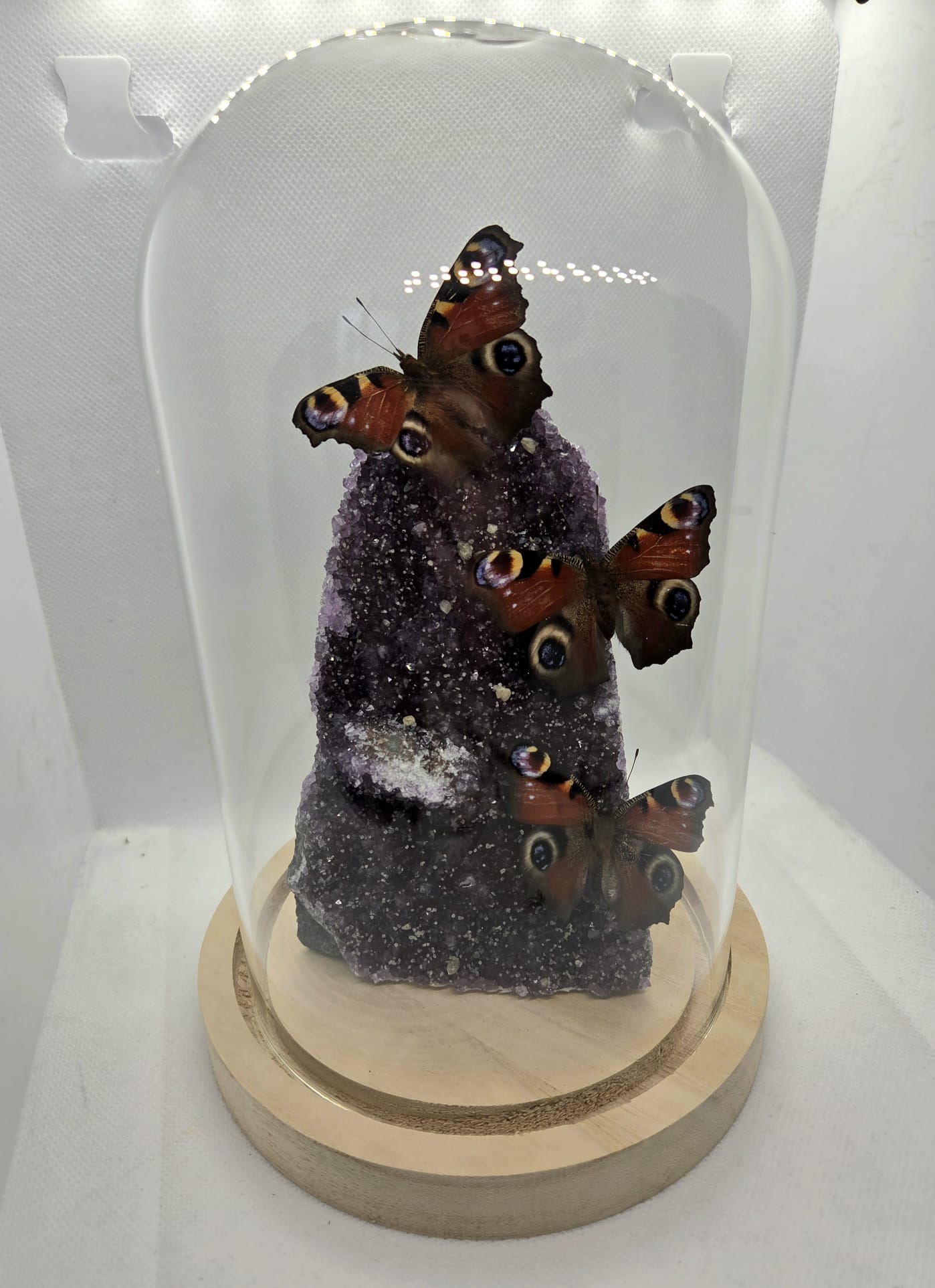 Vlinderstolp met drie Dagpauwogen op een amethist