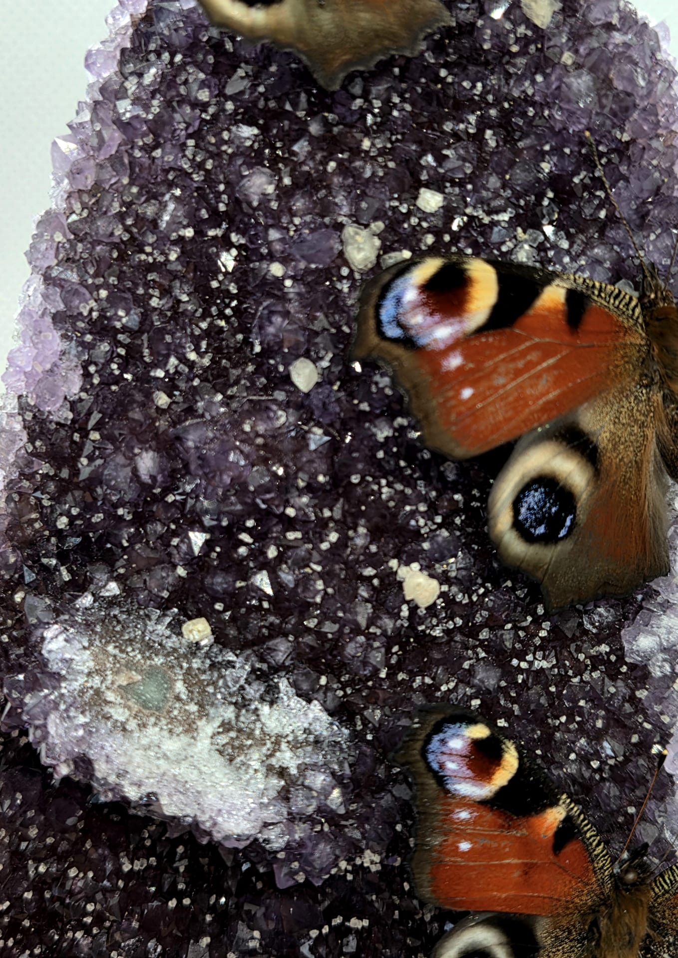 Vlinderstolp met drie Dagpauwogen op een amethist