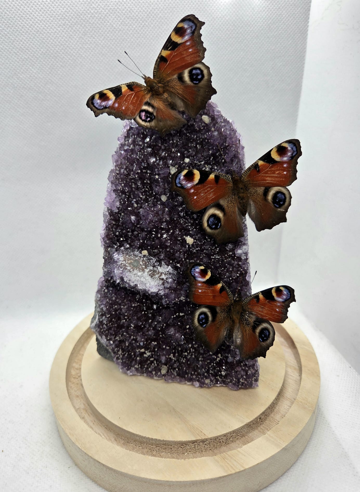 Vlinderstolp met drie Dagpauwogen op een amethist