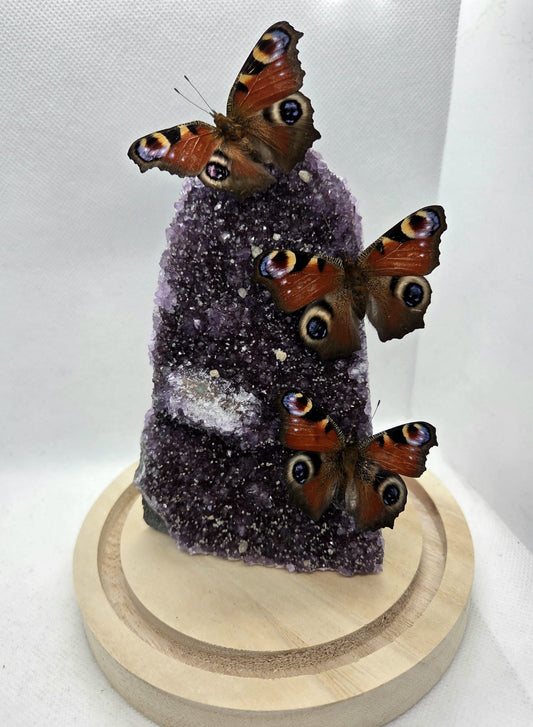 Vlinderstolp met drie Dagpauwogen op een amethist