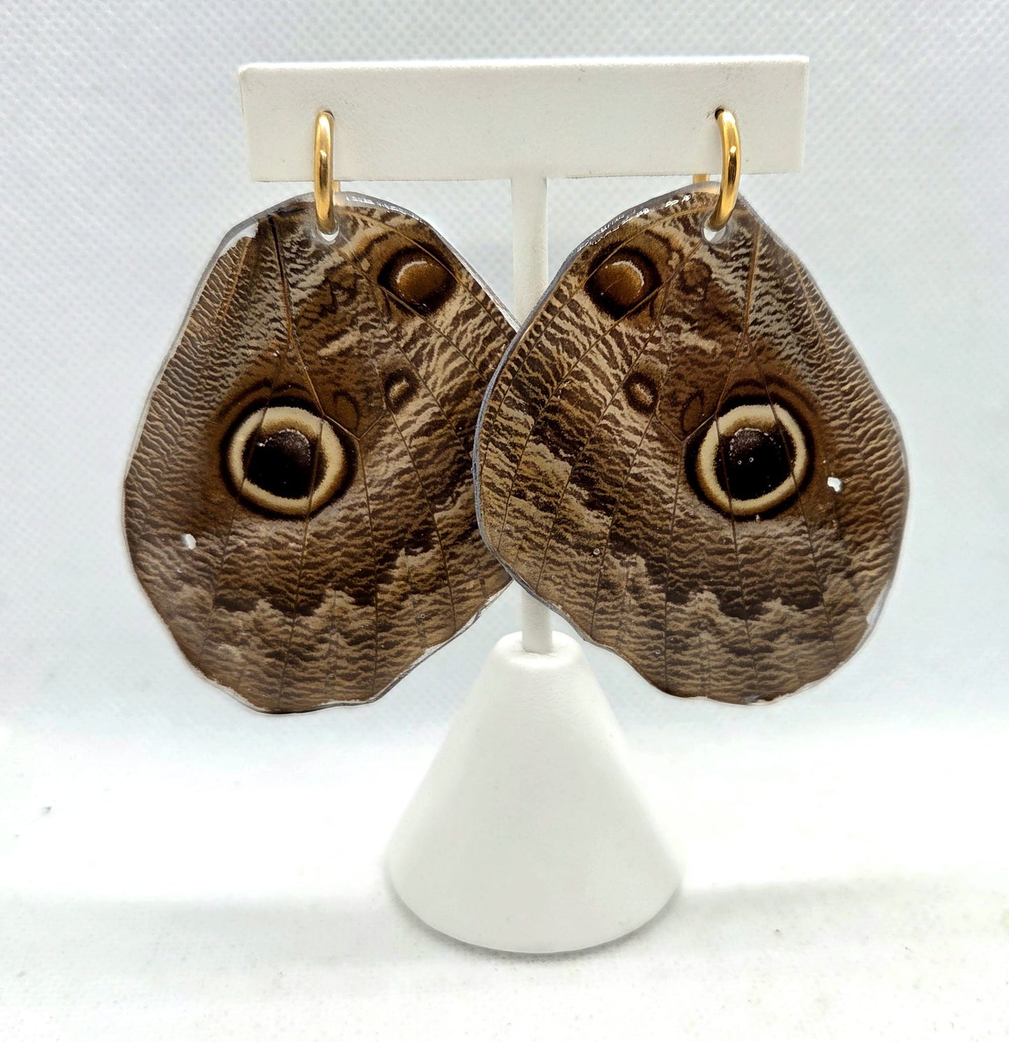 Vlinderoorbellen Caligo Brasiliensis Sulanus (achtervleugels)