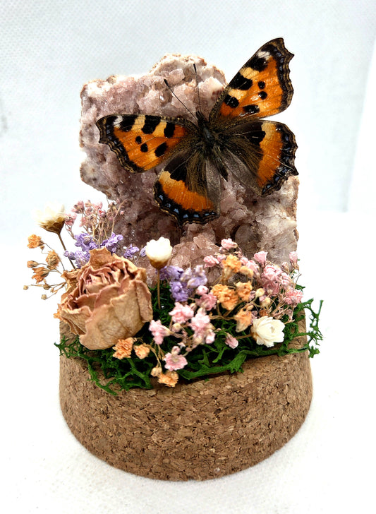 Vlinderstolp met een Aglais Urticae (Kleine Vos) op Roze Amethist